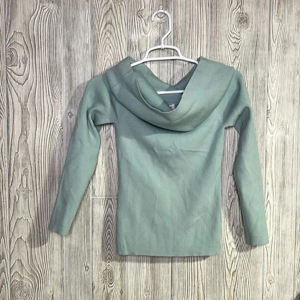 Wilfred Sweater Mint color Size Medium 65% Wool